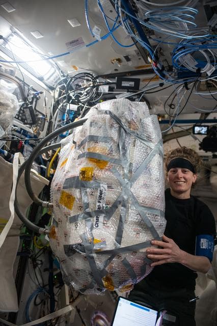 NASA image: iss070e105125