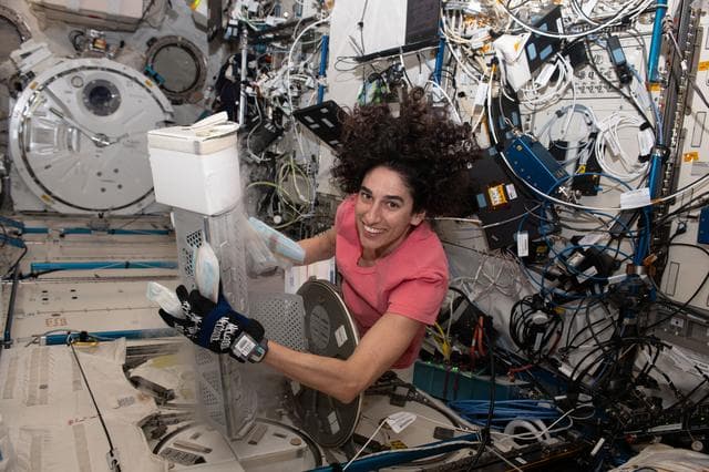 NASA image: Moghbeli works with MELFI-1