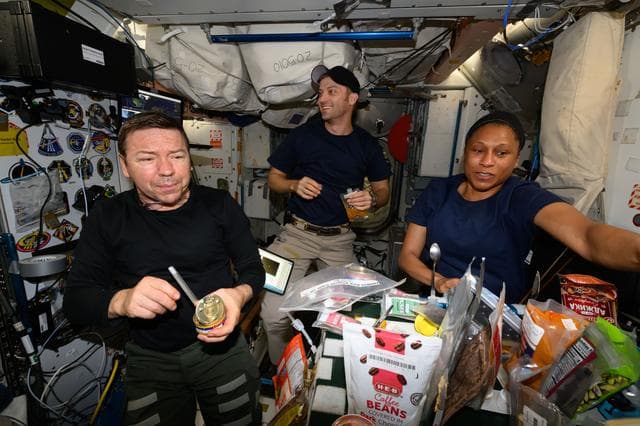 NASA image: iss070e128806