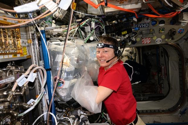 NASA image: iss071e003194