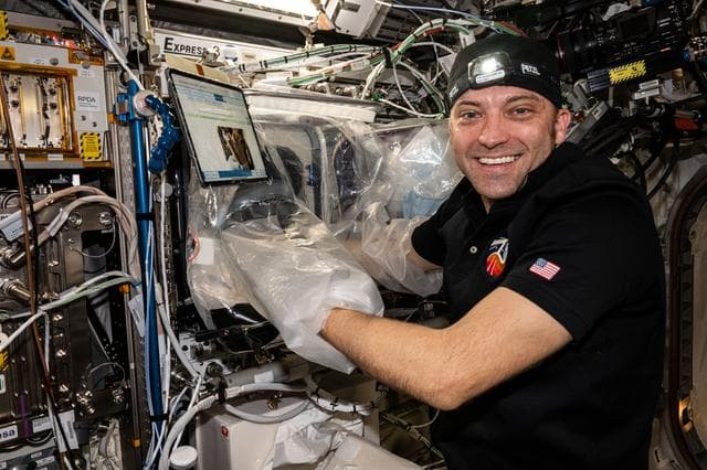 NASA image: iss071e006125