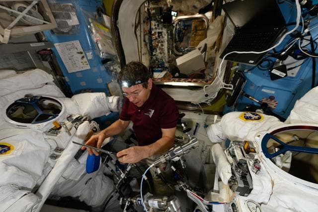 NASA image: iss071e007584