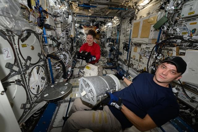 NASA image: iss071e040122