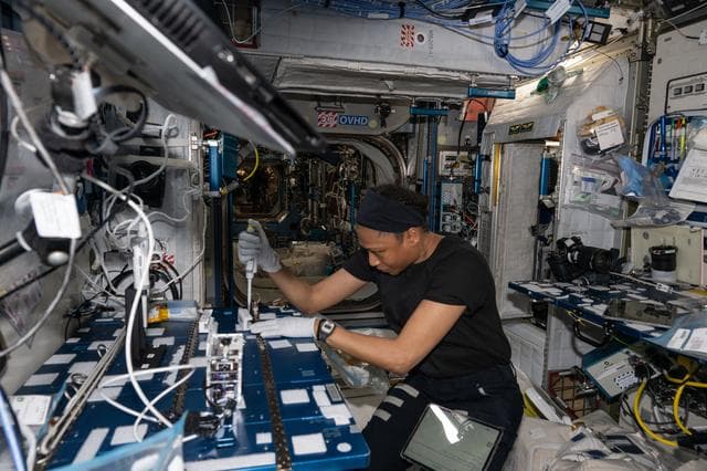 NASA image: iss071e041625