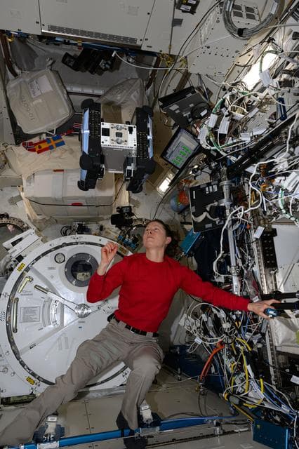 NASA image: iss071e046261