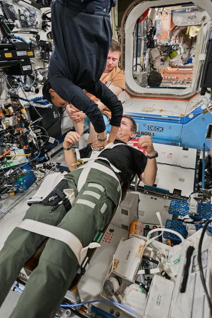 NASA image: iss071e051133