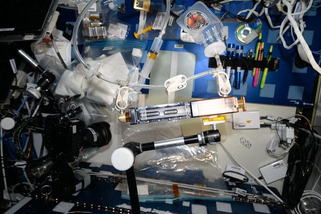NASA image: iss071e062617