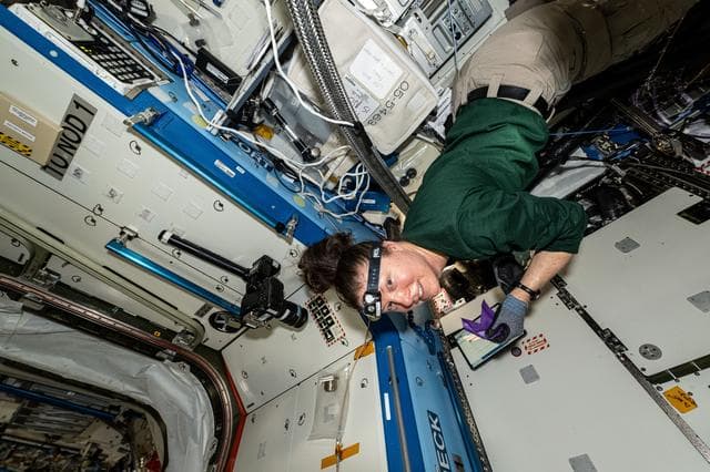 NASA image: iss071e077827