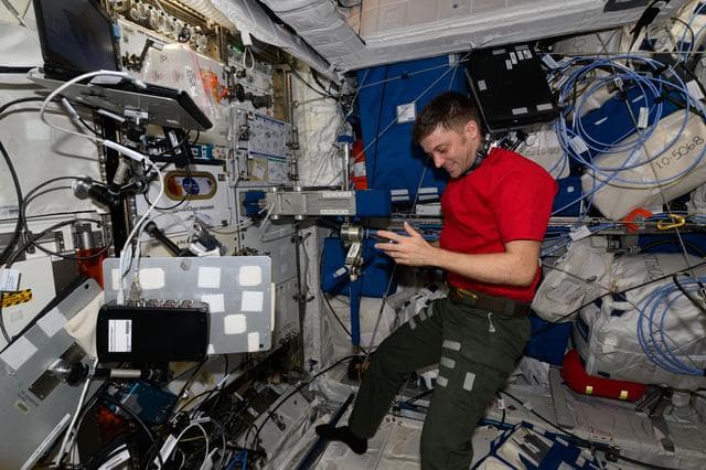 NASA image: iss071e113128