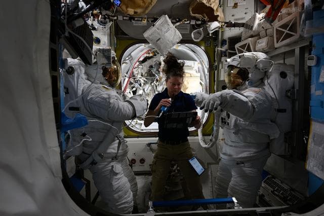 NASA image: Dyson, Dominick, and Barratt