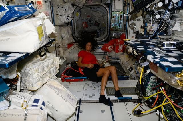 NASA image: iss071e182902