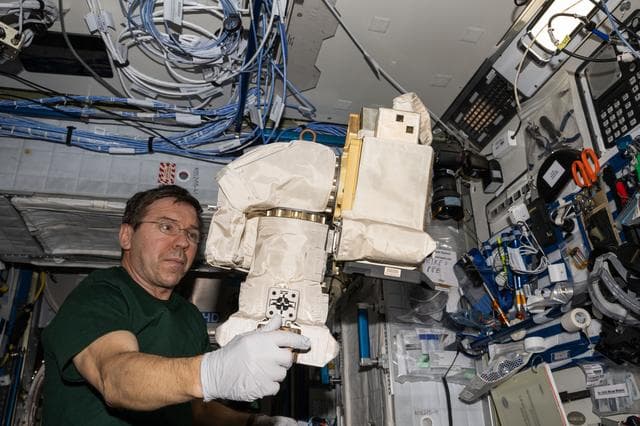NASA image: iss071e195951