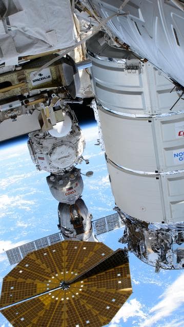 NASA image: iss071e243431