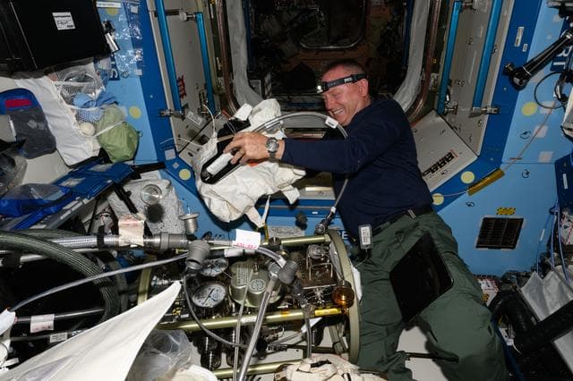 NASA image: iss071e294934