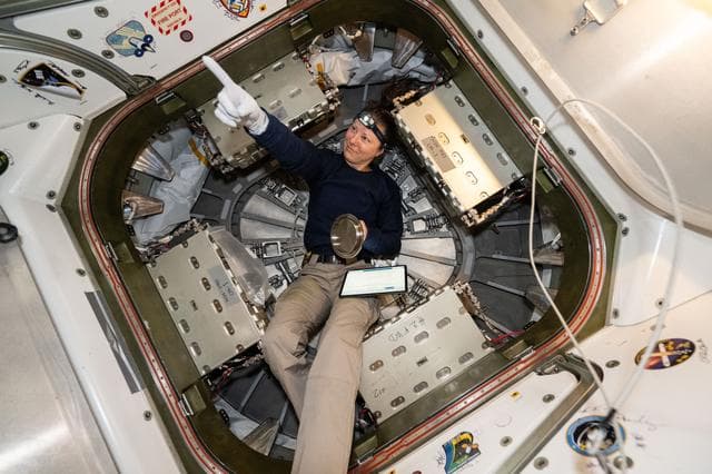 NASA image: iss071e321386