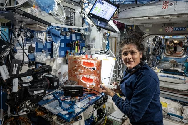 NASA image: iss071e356678