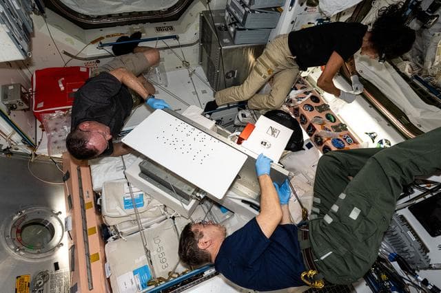 NASA image: NASA astronauts Mike Barratt, Butch Wilmore, and Suni Williams