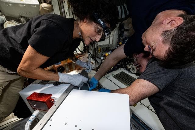 NASA image: NASA astronauts Suni Williams, Mike Barratt, and Butch Wilmore
