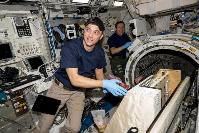 NASA image: NASA astronauts Matthew Dominick and Mike Barratt