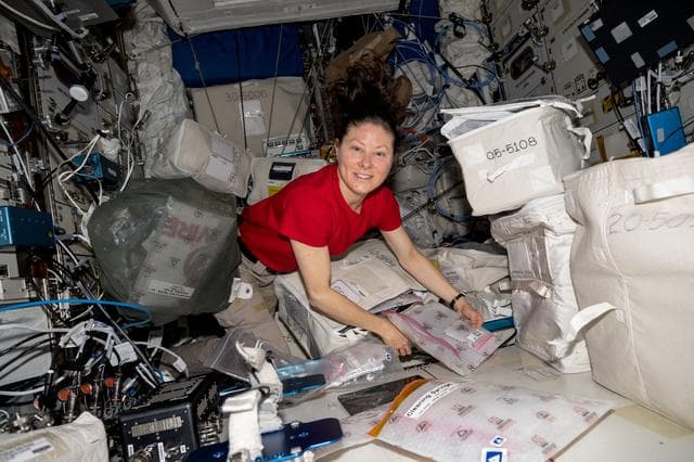 NASA image: NASA astronaut Tracy C. Dyson unpacks and examines research gear