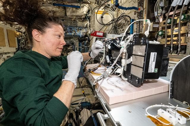 NASA image: NASA astronaut Tracy C. Dyson services combustion research components