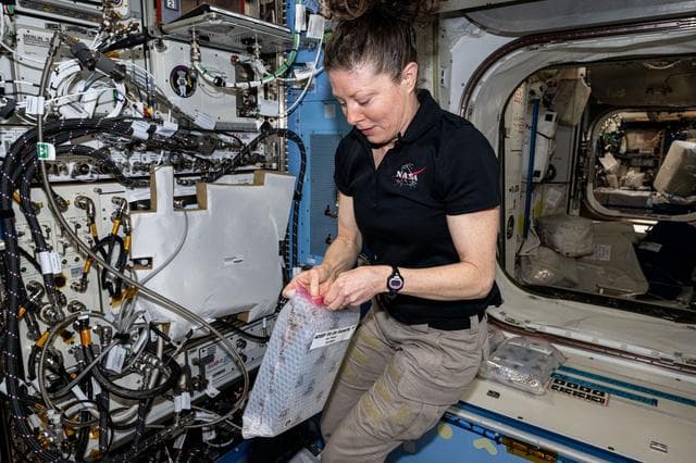 NASA image: iss071e486657
