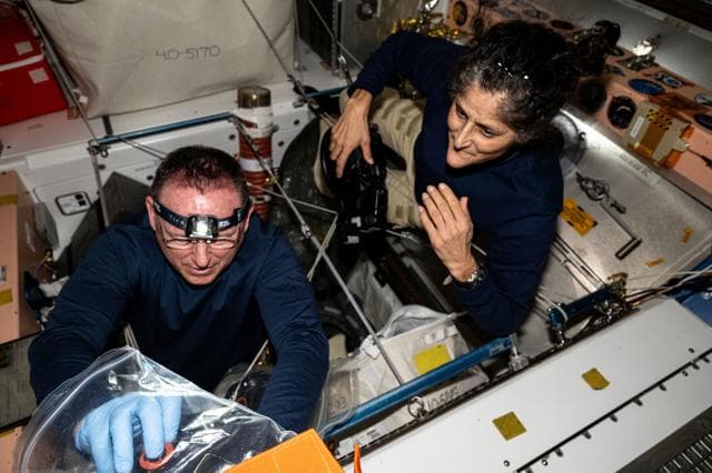 NASA image: iss071e513837
