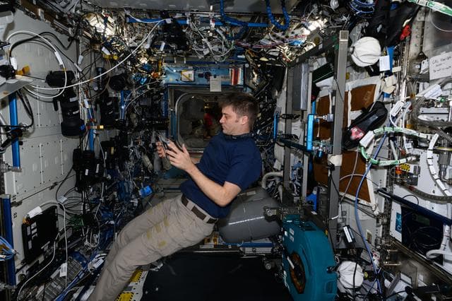 NASA image: iss071e547731