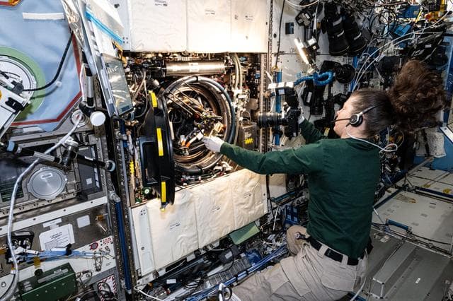 NASA image: iss071e549501