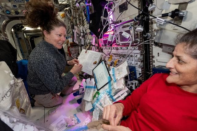 NASA image: iss071e580038
