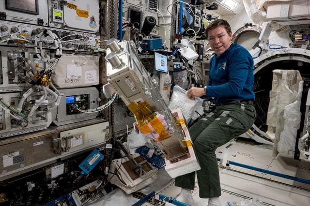 NASA image: iss071e608355