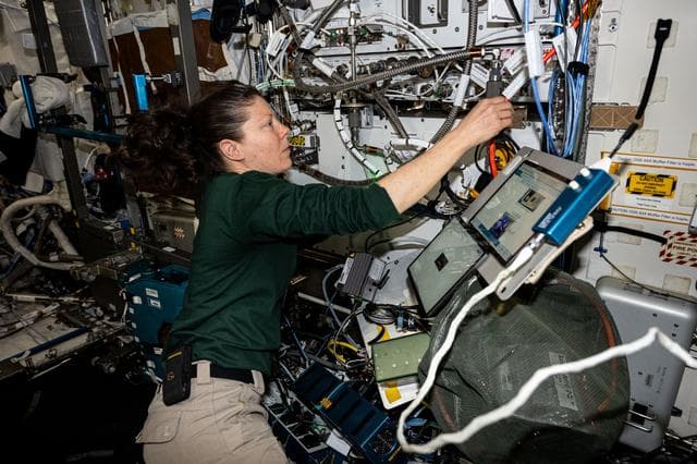 NASA image: iss071e609375