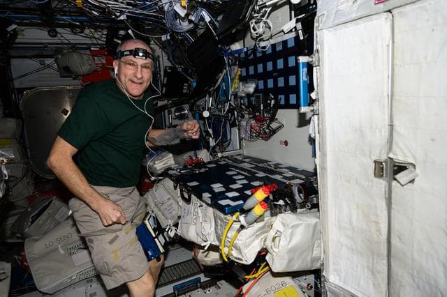 NASA image: NASA astronaut Don Pettit works on maintenance activities