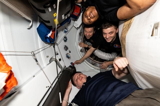 NASA image: The four crew members that make up the SpaceX Crew-8 mission