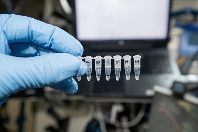 NASA image: Astronaut Don Pettit displays samples for a genetic experiment aboard the International Space Station