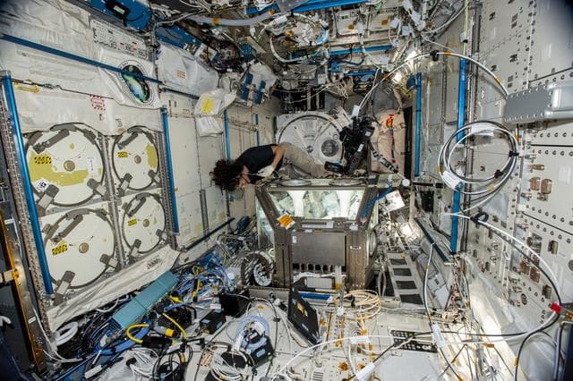 NASA image: LSG Work Volume Cleanup