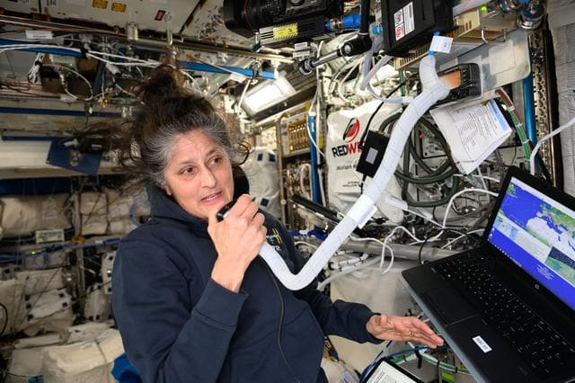 NASA image: Astronaut Suni Williams calls down to students using a ham radio