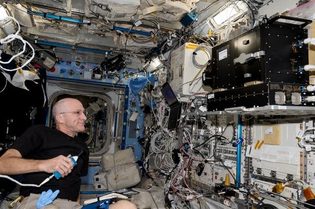 NASA image: Astronaut Don Pettit works inside the Kibo laboratory module
