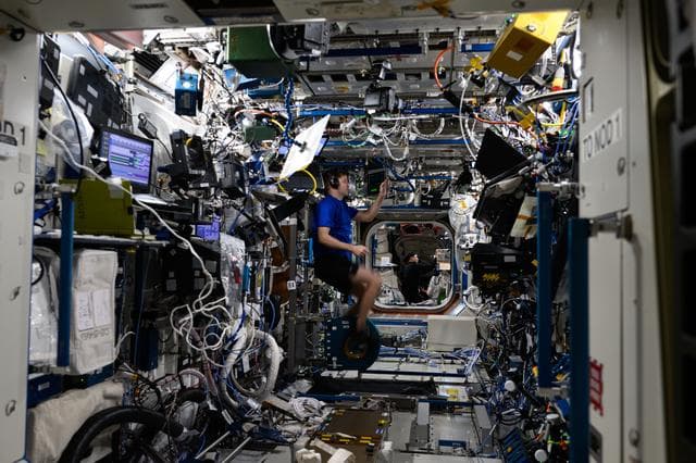 NASA image: Astronauts Matthew Dominick and Jeanette Epps are pictured during a variety of activities