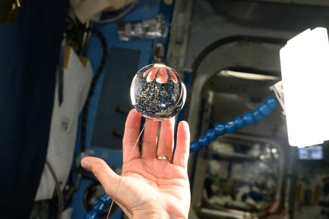 NASA image: Astronaut Don Pettit's fingers are refracted in this sphere of water