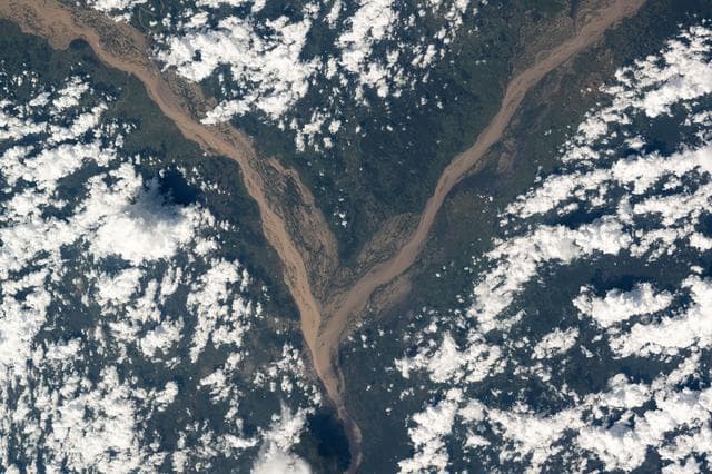 NASA image: The Niger River splits into its tributary, the Benue River
