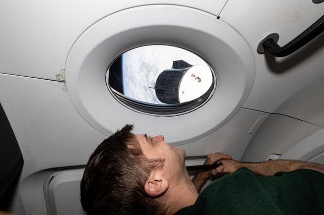 NASA image: Astronaut Matthew Dominick looks out a window on the SpaceX Dragon Endeavour spacecraft