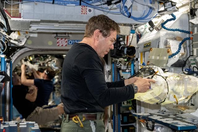 NASA image: Astronaut Mike Barratt works on maintenance activities