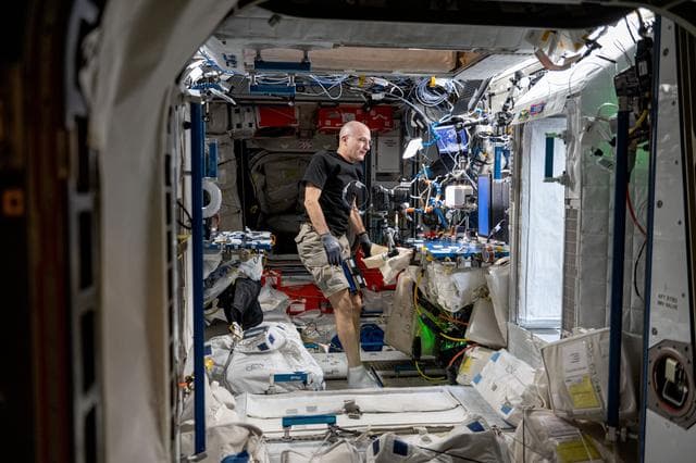 NASA image: iss072e098100