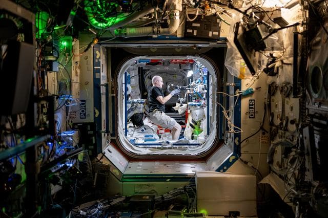 NASA image: NASA Astronaut Don Pettit Sets up for "Science of Opportunity"