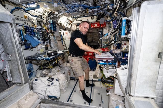 NASA image: Astronaut Butch Wilmore works in the Harmony module