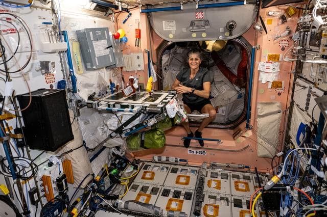 NASA image: Astronaut Suni Williams is pictured at the galley inside the Unity module
