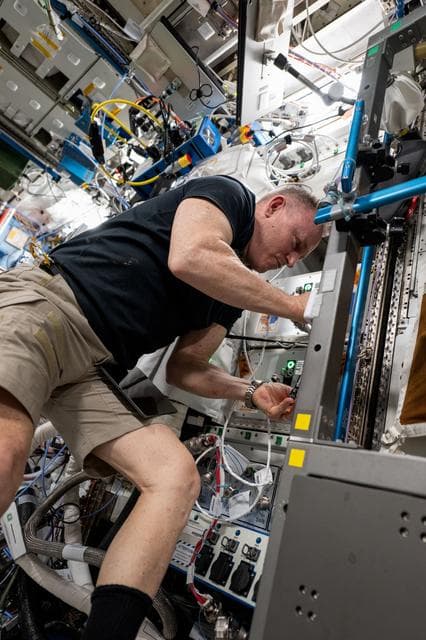 NASA image: Astronaut Butch Wilmore installs science hardware inside the Destiny laboratory module