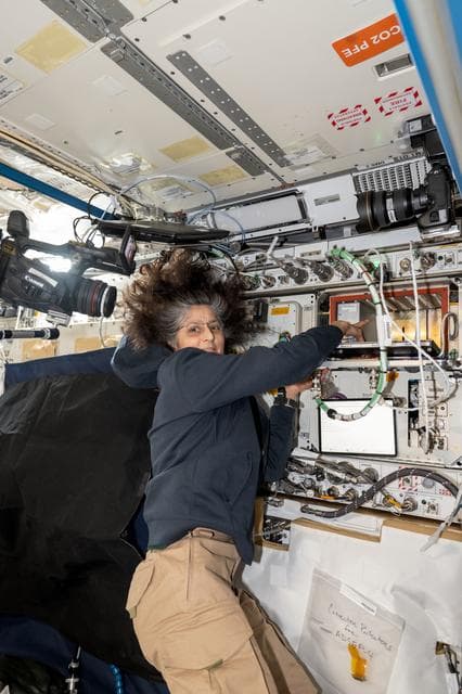 NASA image: Astronaut Suni Williams points to a sample processor that can perform space research operations