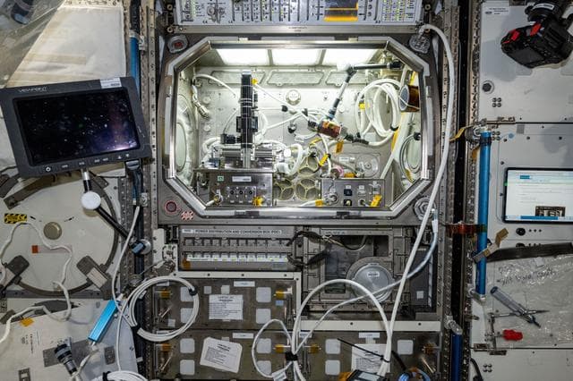 NASA image: iss072e146341